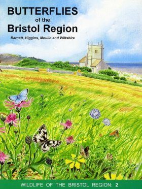 Butterflies of the Bristol Region