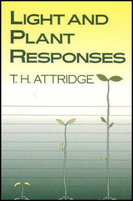 Light and Plant Responses