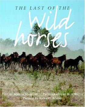 The Last of the Wild Horses