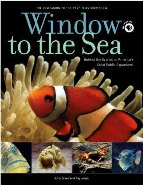 Window to the Sea