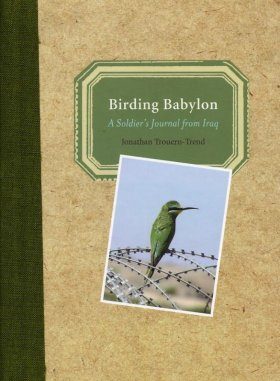 Birding Babylon