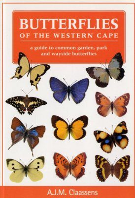 Butterflies of the Western Cape