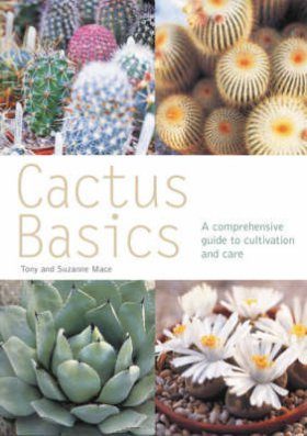 Cactus Basics