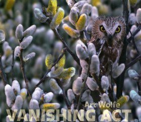 Vanishing Act