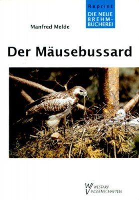Der Mäusebussard (Buzzard)