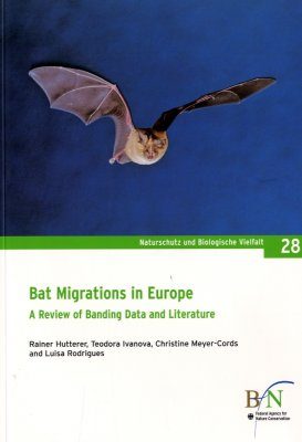 Bat Migrations in Europe