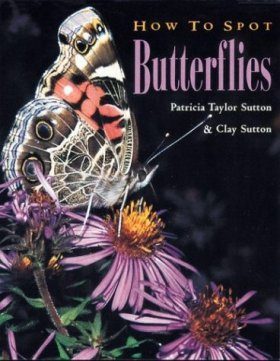 How To Spot Butterflies