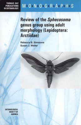 Review of the Sphecosoma Genus Group Using Adult Morphology (Lepidoptera : Arctiidae)