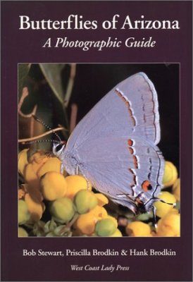 Butterflies of Arizona