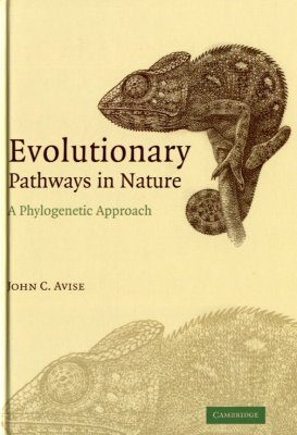 Evolutionary Pathways in Nature