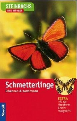 Schmetterlinge Erkennen und Bestimmen