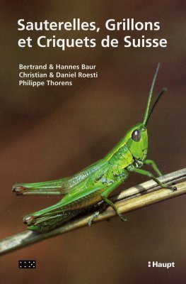 Sauterelles, Grillons et Criquets de Suisse