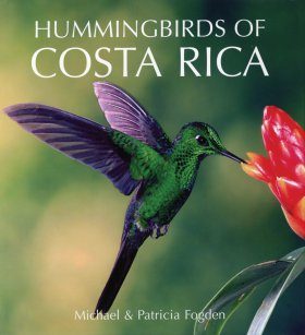 Hummingbirds of Costa Rica