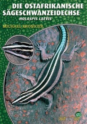 Die Ostafrikanische Sägechwanzeidechse (Holaspis laevis)