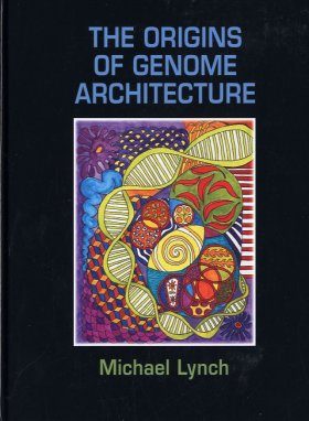 The Origins of Genome Architecture