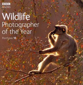 Wildlife Photographer of the Year, Portfolio 16