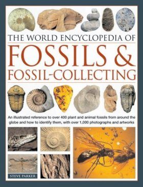 The World Encyclopedia of Fossils & Fossil-Collecting