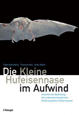 Die Kleine Hufeisennase im Aufwind
