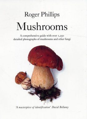 Mushrooms