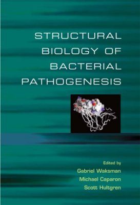 Structural Biology of Bacterial Pathogenesis