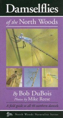 Damselflies of the North Woods