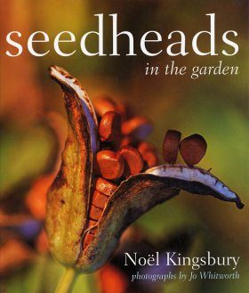 Seedheads in the Garden