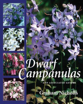 Dwarf Campanulas
