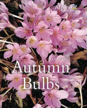 Autumn Bulbs
