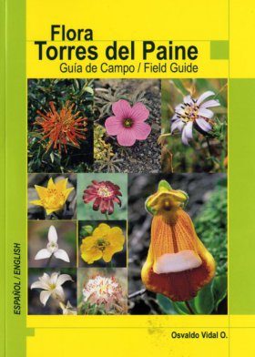Flora Torres del Paine