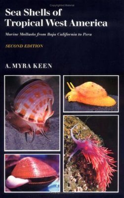 Sea Shells of Tropical West America