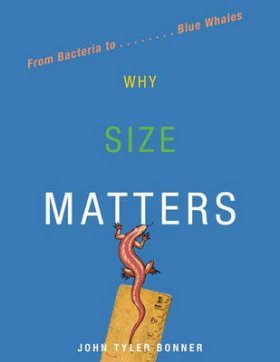Why Size Matters