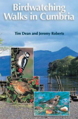Birdwatching Walks in Cumbria