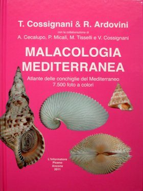 Mediterranean Malacology / Malacologia Mediterranea