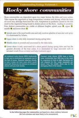 Rocky Shore Communities