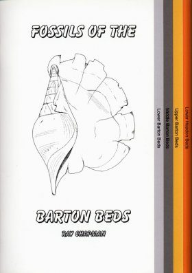 Fossils of the Barton Beds
