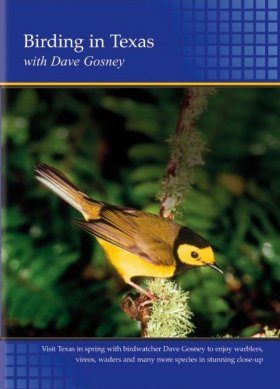 Birding in Texas (Region 2)