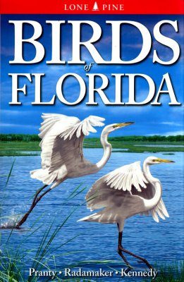 Birds of Florida