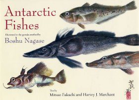 Antarctic Fishes