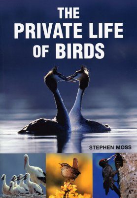 The Private Life of Birds