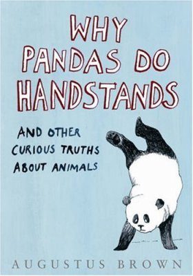 Why Pandas Do Handstands