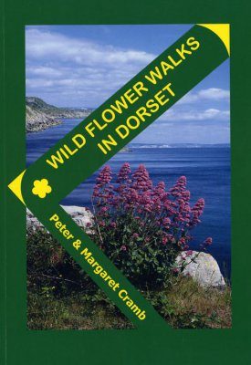 Wild Flower Walks in Dorset