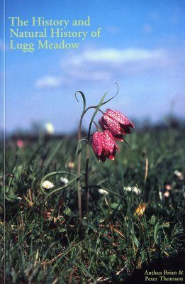 The History and Natural History of Lugg Meadow