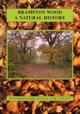 Brampton Wood: A Natural History