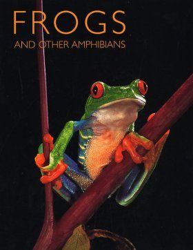 Frogs and Other Amphibians