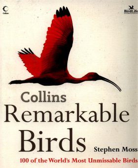 Remarkable Birds