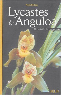 Lycastes & Anguloa