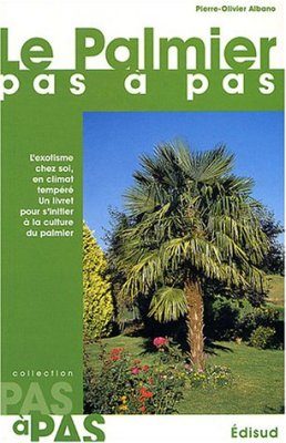 Le Palmier Pas a Pas