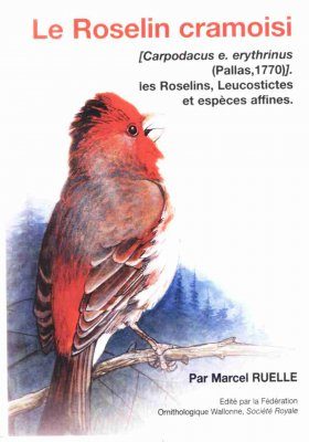 Le Roselin Cramoisi