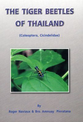 The Tiger Beetles of Thailand