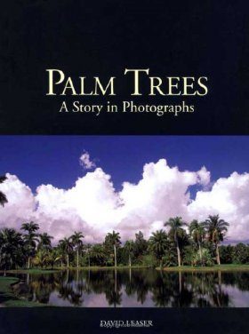 Palm Trees